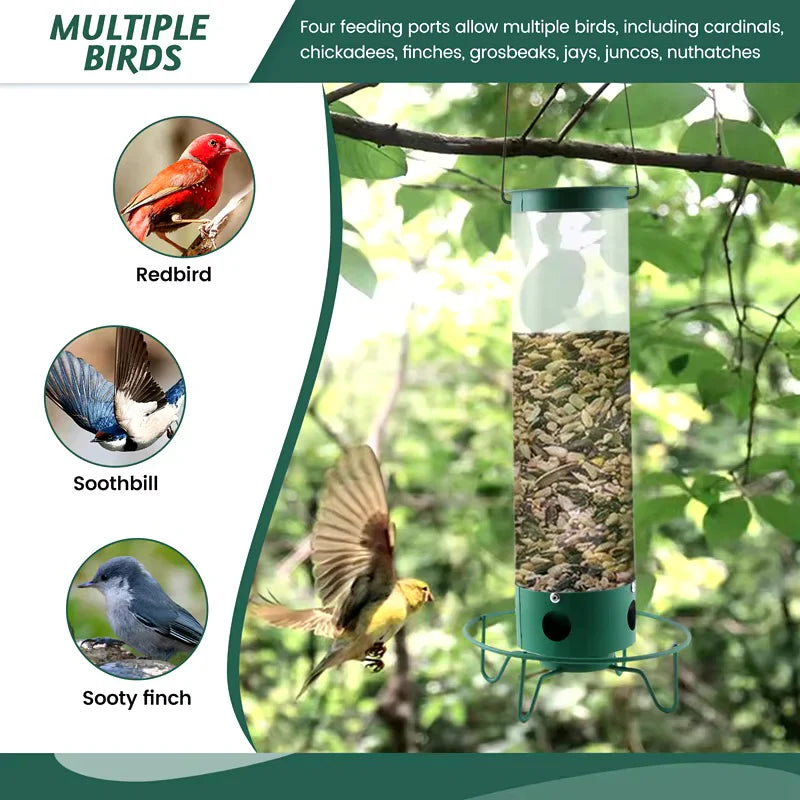 Squirrel-Proof Bird Feeder — Feed the Birds, Not the Squirrels, All Year Long
