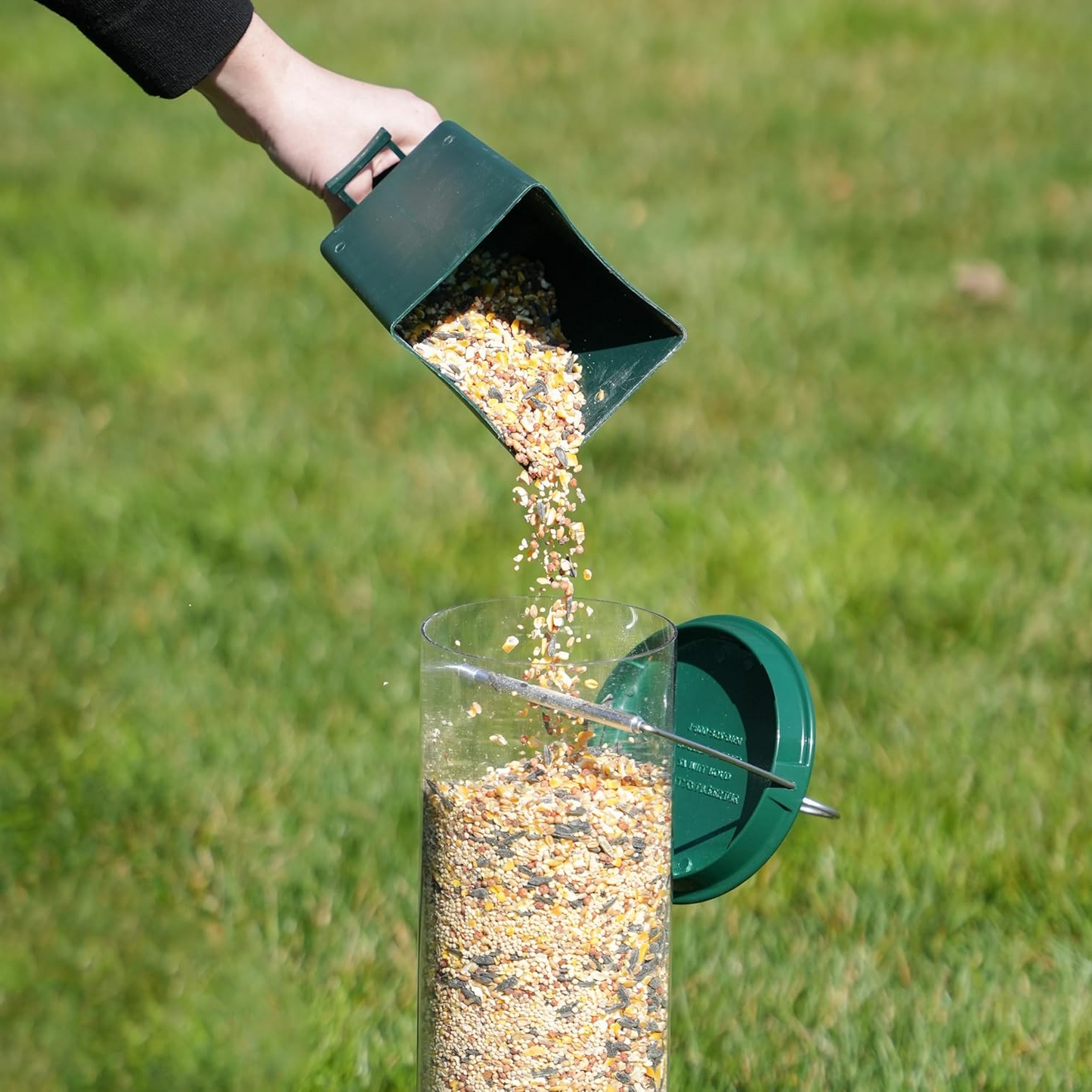 Squirrel-Proof Bird Feeder — Feed the Birds, Not the Squirrels, All Year Long
