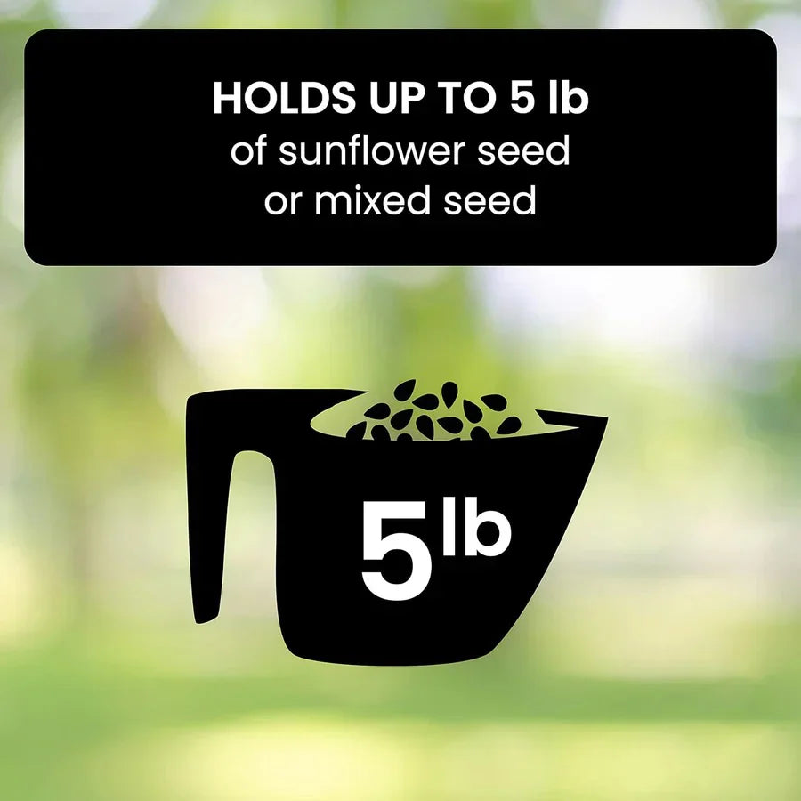 Squirrel-Proof Bird Feeder — Feed the Birds, Not the Squirrels, All Year Long